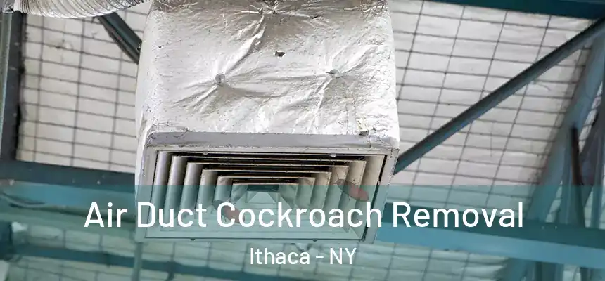 Air Duct Cockroach Removal Ithaca - NY
