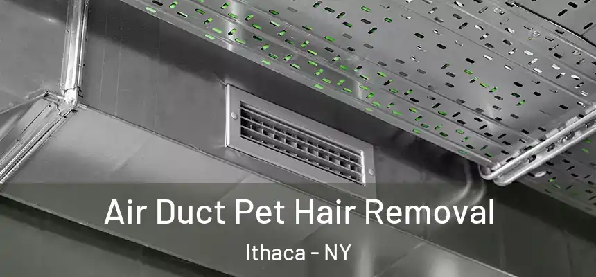  Air Duct Pet Hair Removal Ithaca - NY
