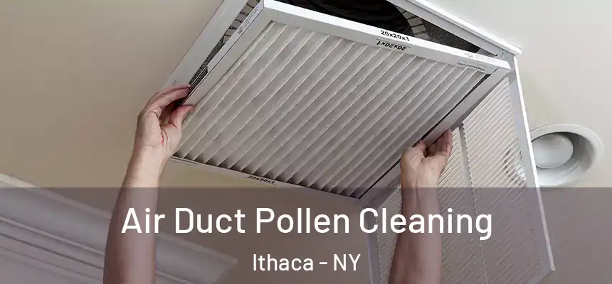 Air Duct Pollen Cleaning Ithaca - NY