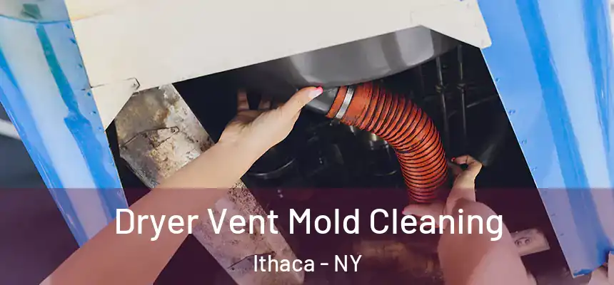 Dryer Vent Mold Cleaning Ithaca - NY