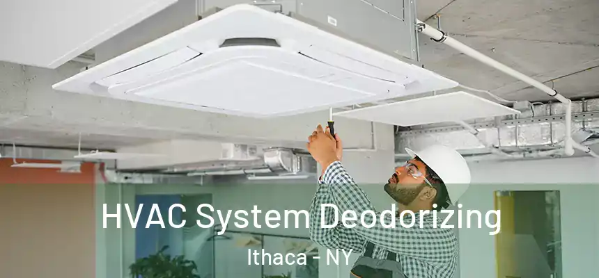  HVAC System Deodorizing Ithaca - NY