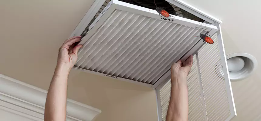 Preventive Cockroach-Proofing for Ducts in Ithaca