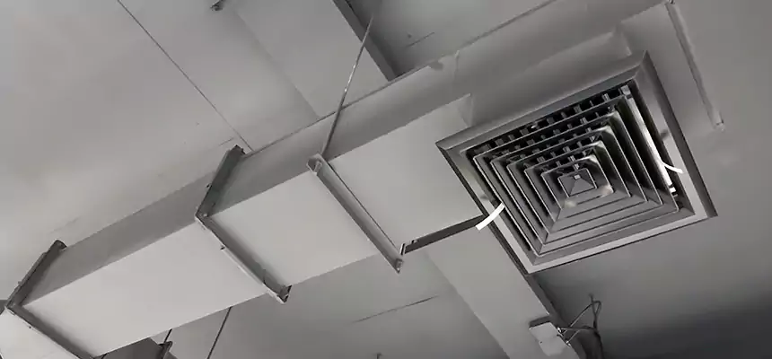 Our Rodent Droppings In Vents Services in Ithaca, NY