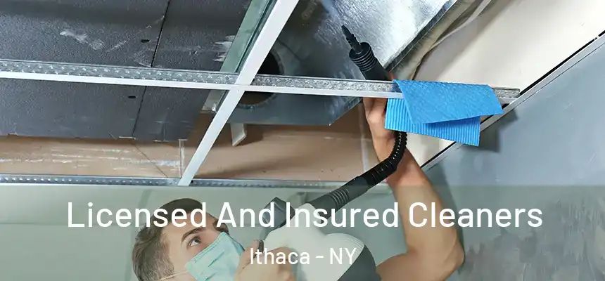 Licensed And Insured Cleaners Ithaca - NY