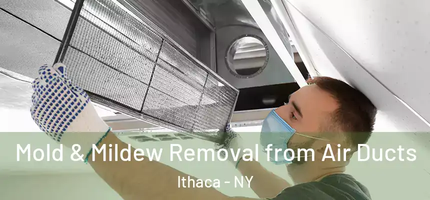 Mold & Mildew Removal from Air Ducts Ithaca - NY