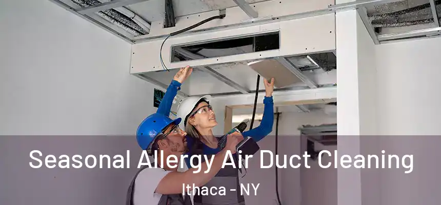 Seasonal Allergy Air Duct Cleaning Ithaca - NY