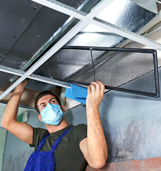 About Air Duct Bacteria Removal in Ithaca