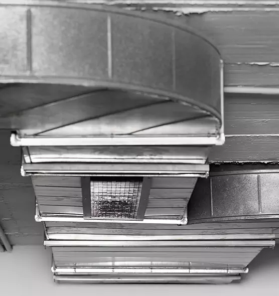 Professional Air Duct Pest Removal in Ithaca, NY