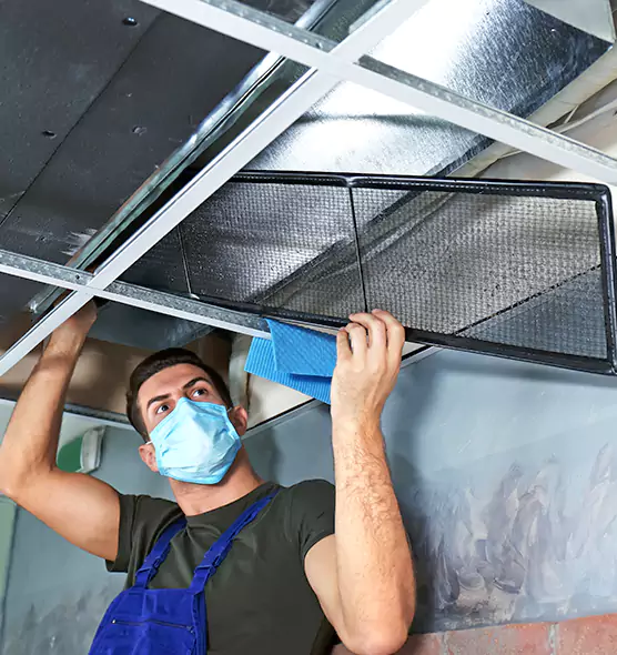 Professional Air Duct Pollen Cleaning in Ithaca, NY