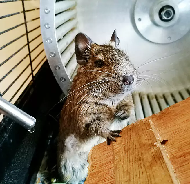 Why Homeowners & Businesses Trust Us Ithaca, NY