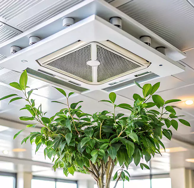 Why Homeowners & Businesses Trust Us in Ithaca, NY?