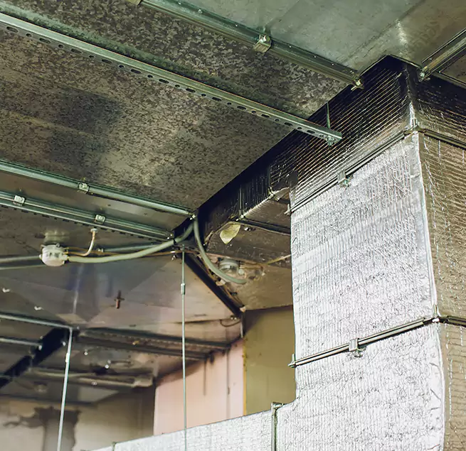 Why Homeowners & Businesses Trust Us in Ithaca, NY?